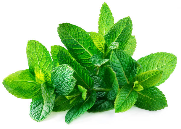 naturellement sante menthe naturellement sante menthe