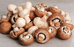 mushrooms mushrooms
