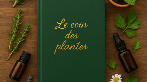 Carnet vert avec l’inscription dorée Le coin des plantes, entouré d’herbes fraîches, de fleurs médicinales et de flacons d’huiles essentielles sur une table en bois.