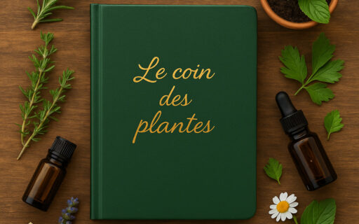 Carnet vert avec l’inscription dorée Le coin des plantes, entouré d’herbes fraîches, de fleurs médicinales et de flacons d’huiles essentielles sur une table en bois.